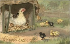 Easter chick hen for sale  USA