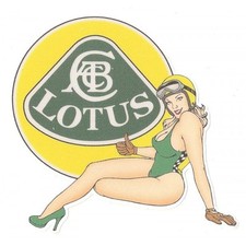 Lotus left pin d'occasion  Concarneau