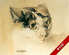 Realistic cat lowered for sale  South Jordan