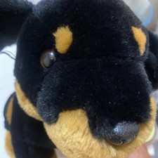 Paws rottweiler plush for sale  HARLOW