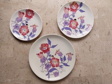 Piatti ceramica ernestine usato  Italia