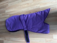 Greyhound trust purple for sale  PEVENSEY