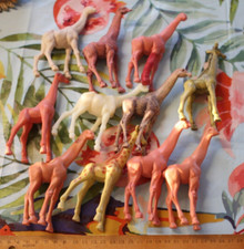 11x giraffen afrika gebraucht kaufen  Neugersdorf