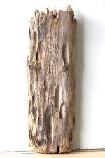 Treibholz schwemmholz driftwoo gebraucht kaufen  Halblech