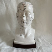 Head acupuncture model for sale  RADSTOCK