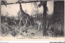 Ajkp2 0191 animals d'occasion  Expédié en Belgium