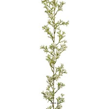 Superbe guirlande jasmin d'occasion  France