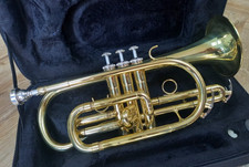 Sonata student beginners for sale  FLEET