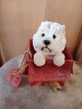 Westie box love for sale  BRAMPTON