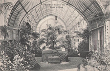 Paris interieur serres d'occasion  Vasles