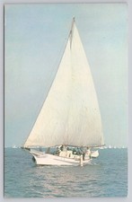 Vintage skipjacks sailboat for sale  Belleville