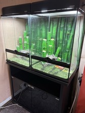 triple vivarium for sale  LANCASTER