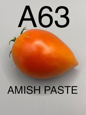 Graine seed tomate d'occasion Graine seed tomate d'occasion  La Pacaudière