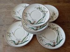 Soucoupes botanica villeroy d'occasion  Parentis-en-Born