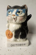 Norcrest cat kitty for sale  Stow