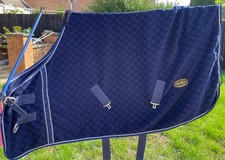 Gallop horse pony for sale  PETERBOROUGH