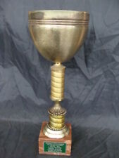 Trofeo coppa gimkana usato  Santena
