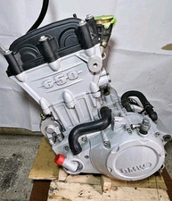 Motore rotax bmw usato  Taranto