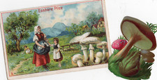 126 492 sammelbild gebraucht kaufen  Prösen