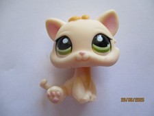 Petshop chaton 1128 d'occasion  Bailleul