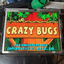 Crazy bugs igs for sale  Omaha