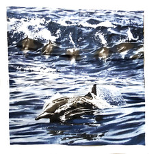 Taie oreiller dauphins d'occasion  Vauréal