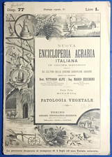 Patologia vegetale rivista usato  Italia