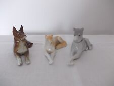 German malinois shepherd d'occasion  Expédié en Belgium