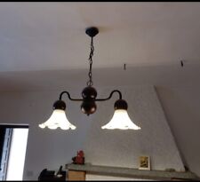 Lampadario rustico usato  Coazzolo