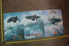 Billabong australia surfboards for sale  Los Angeles