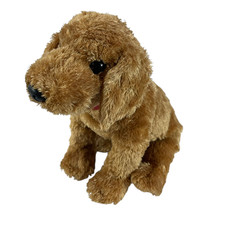 Classics cody puppy for sale  Oak Lawn