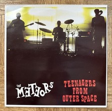 The meteors teenagers gebraucht kaufen  Essenbach