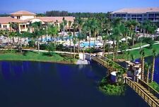 condo 2br 2bath for sale condo 2br 2bath for sale USA