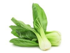 1000 nasion Babyleaf Pak Choi White szybko rosnąca chrupiąca biała kapusta musztardowa na sprzedaż  Wysyłka do Poland