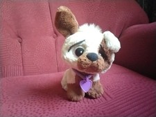 Rescue pals born for sale  GLOUCESTER