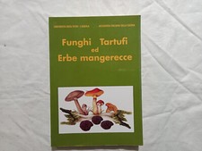 Funghi tartufi erbe usato  Villamagna