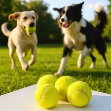 Hundespielzeug tennisbälle ge gebraucht kaufen  Hennef