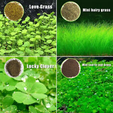 Aquarium plant seeds for sale  Shipping to Ireland