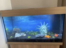 Aquarium juwel rio gebraucht kaufen  Bad Blankenburg