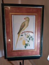 Green parrot facing for sale  Boca Raton