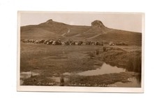 Old postcard saddle for sale  PAIGNTON