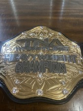 Tna wildcat heavyweight for sale  Homer