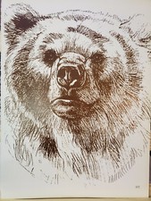 Bear art print for sale  Enumclaw