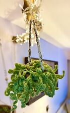 Crochet hanging fern for sale  LITTLEHAMPTON