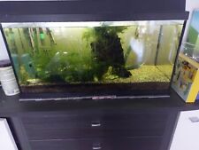 Juwel aquarium gebraucht gebraucht kaufen  Osthofen