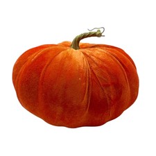 Herbstlicher deko kürbis gebraucht kaufen  Duisburg