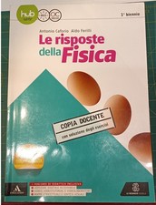 Risposte della fisica usato  Morra de Sanctis