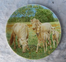 Assiette décorative porcelain d'occasion  Douai