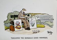 Teaching seagulls good for sale  POOLE
