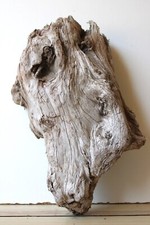 Treibholz schwemmholz driftwoo gebraucht kaufen  Halblech